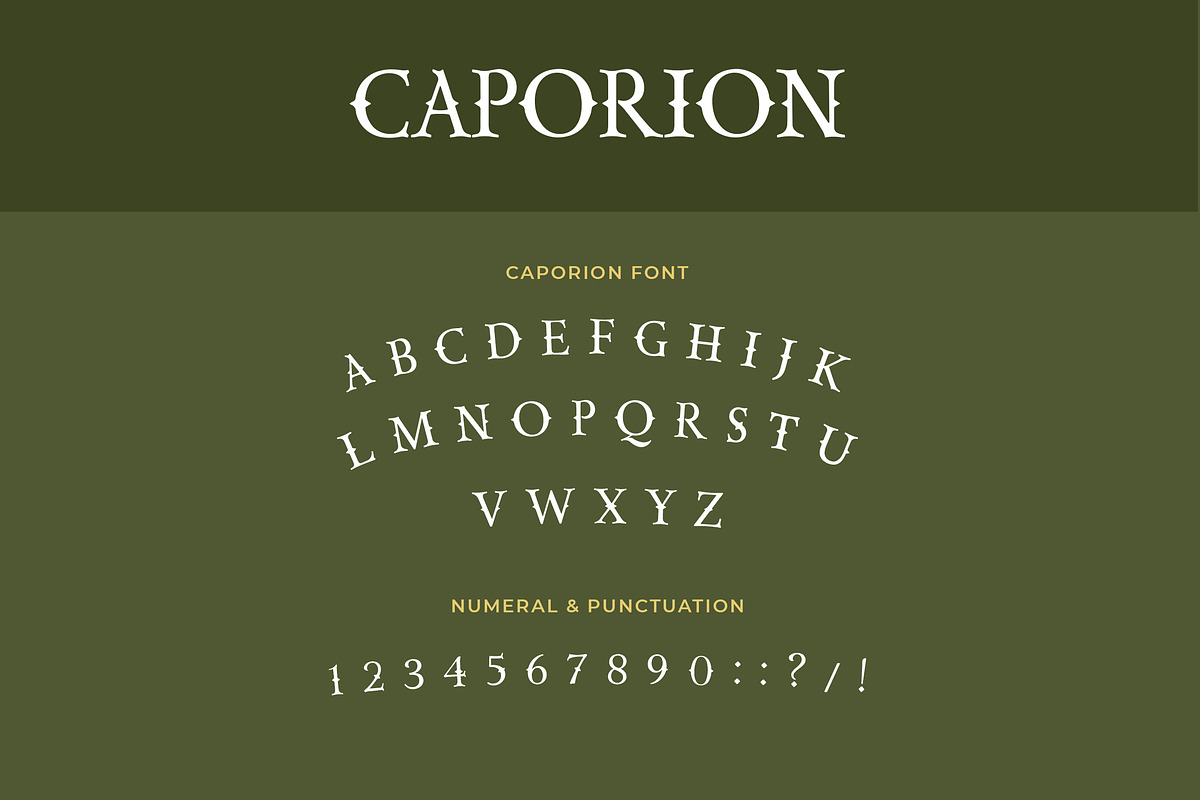 CAPORION Vectorian Serif Font preview 2
