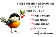 Christmas Funny Birds Clipart, an Illustration by OK Design (Thumbnail 4 of 6)