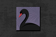 White and Black Swan Portraits, an Animal Illustration by PsychocheArt (Thumbnail 3 of 4)