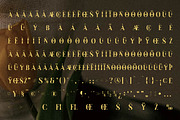 Moskice New Modern Display Font, a Serif Font by Storytype Studio (Thumbnail 14 of 15)