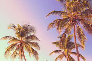Retro Tropical Beach Background, a Holiday Photo by THP Creative