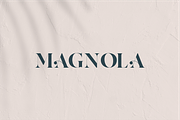 AQILA - A Beautiful Serif, a Serif Font by Vroz Studio (Thumbnail 5 of 7)
