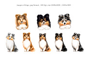 Collie and Sheltie dog set. Dogs art, an Animal Illustration by SavinV (Thumbnail 2 of 6)