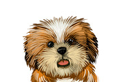 Puppies Dog Breeds Big Bundle 135Pcs, an Animal Illustration by Dneprstock (Thumbnail 10 of 68)