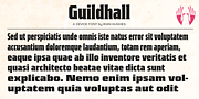 Guildhall, a Serif Font by Device (Thumbnail 4 of 8)