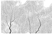 Growth - 50 Backgrounds, a Texture Graphic by GarryKillian (Thumbnail 35 of 51)