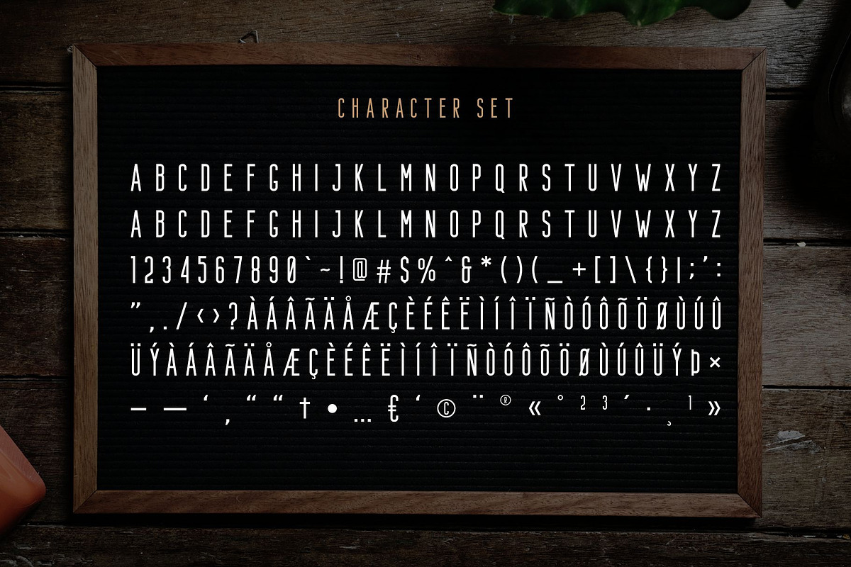 Bafora - SVG Font + Bonus, a Script Font by Craft Supply Co. (Photo 14 of 15)