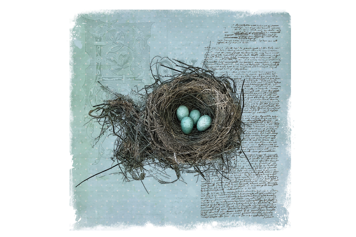 Robin's Nest Vector Illustration, a Decorative Illustration by Digital Art Downloads (Photo 2 of 3)