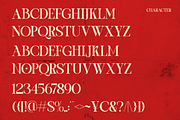 One of a kind | Serif font, a Serif Font by Taboja Studio (Thumbnail 9 of 11)