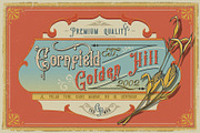 Victorian Fonts Collection, a Serif Font by Burntilldead (Thumbnail 3 of 10)