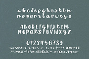 Sandero, a Script Font by Horlleys (Thumbnail 5 of 5)