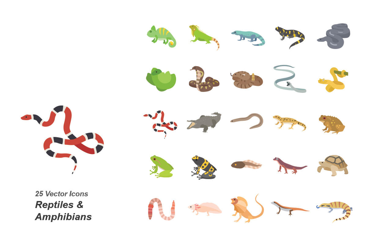 Reptiles & Amphibians color icons, an Icon by Jisun Park