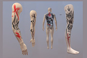 3d Male Human Parts For Procreate, a Characters & Person 3D Model by Torus1 (Thumbnail 2 of 4)