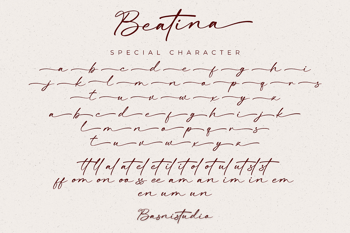Beatina – Signature Font, a Script Font by Basnistudio (Photo 10 of 11)
