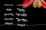 Maheera Font, a Script Font by cove703 (Thumbnail 10 of 12)