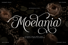 Luxury Wedding Serif Font - Moelania