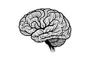Brain Tree Knowledge Design Bundle, an Illustration by Gaye Art (Thumbnail 8 of 31)