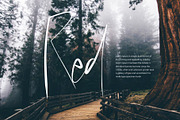 Papies Script Font, a Script Font by Maxim apperian (Thumbnail 6 of 8)
