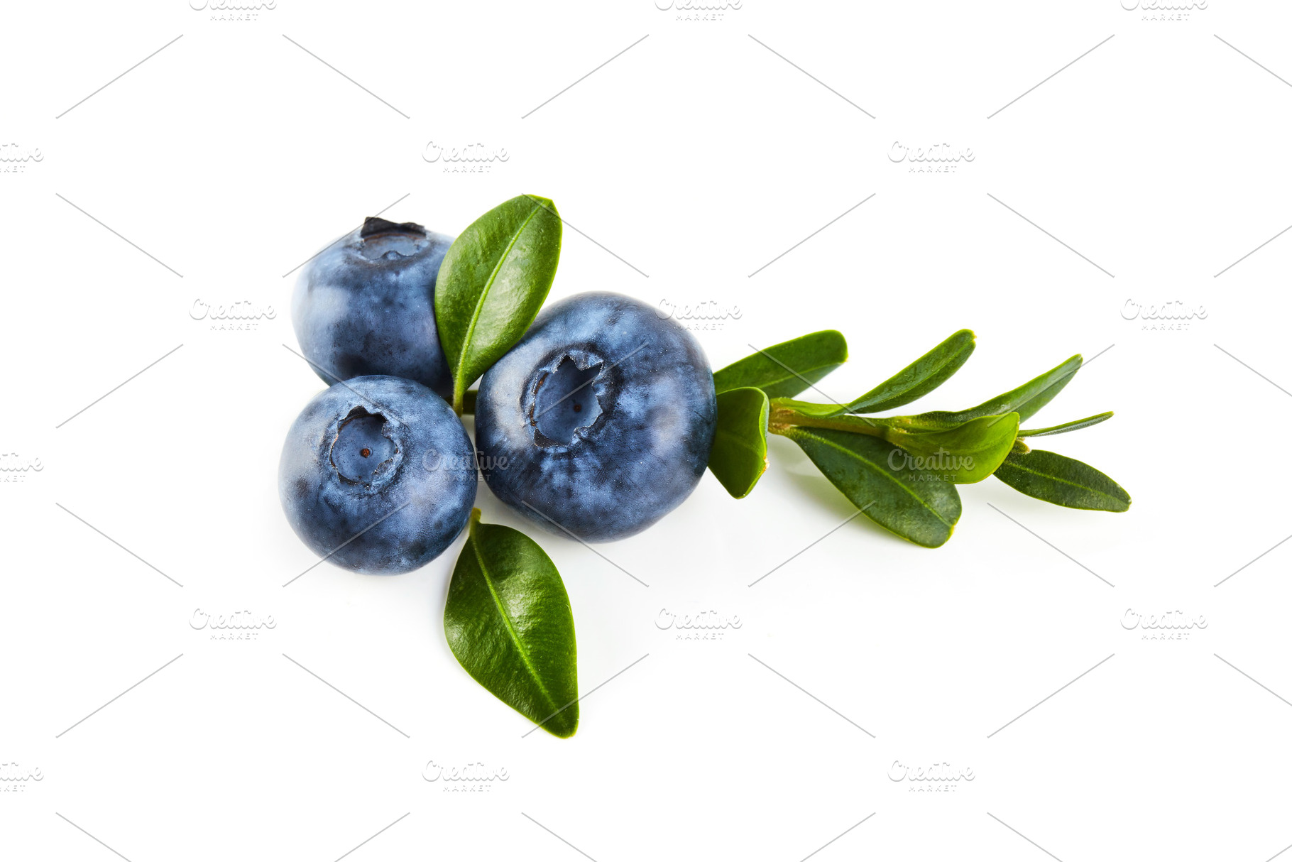 Blue berry close up, a Background Photo by OleksandrRybitskyi