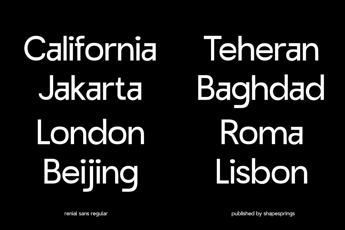 Renial Display, a Sans Serif Font by rejazer (Photo 9 of 11)
