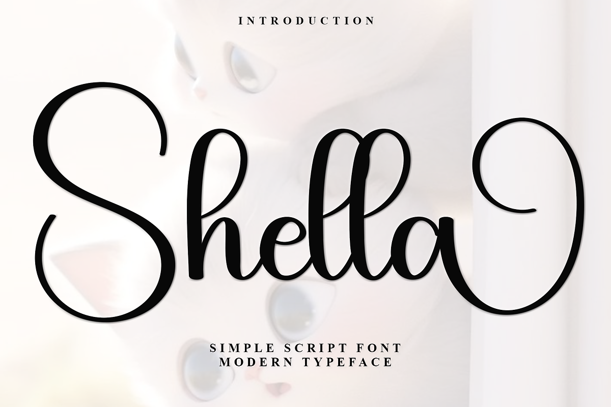 Shella, a Handwritten Font by FreshTypeINK (Photo 1 of 8)