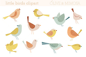 Bird illustrations clipart set