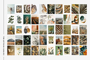 Wild Terra | 100 wall art prints, a Decorative Illustration by Tale.Haus (Thumbnail 3 of 9)