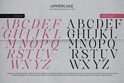 Softlen Minusone Stiller | 6 Update, a Serif Font by Natural Ink Studio (Thumbnail 12 of 15)