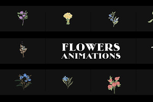 Flowers Falling for DaVinci Resolve, a Templates & Theme by 2dfx