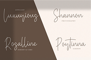 Baster Monky - Monoline Script Font, a Script Font by StringLabs (Thumbnail 6 of 13)