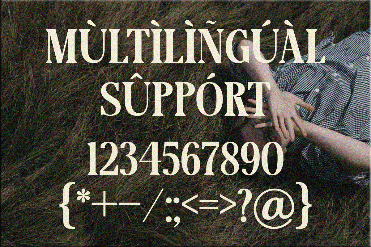 Lignis, a Serif Font by Zafiratype (Photo 8 of 15)