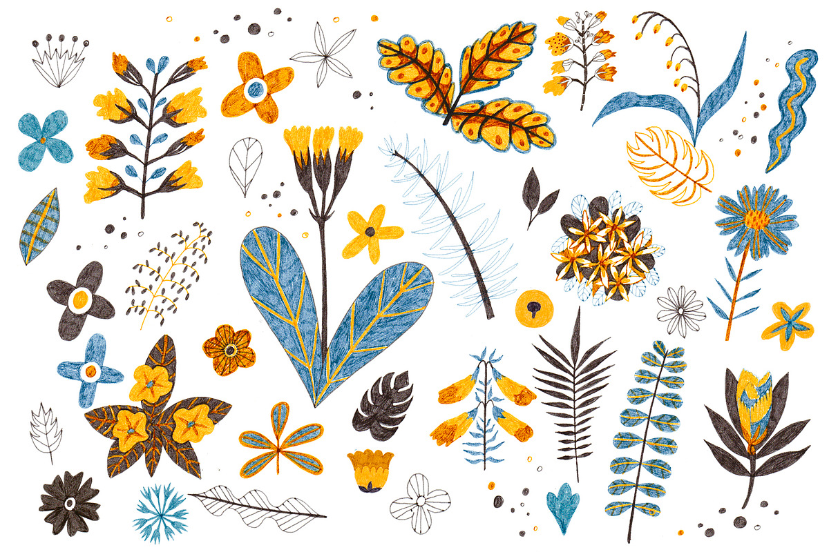 HandDrawn Garden collection, a Decorative Illustration by Sasha Mitkalova (Photo 3 of 4)
