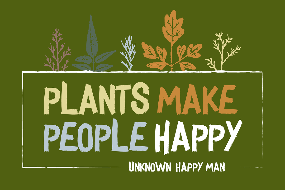 Herbs in Paradise, a Script Font by George Bourle (Photo 7 of 11)