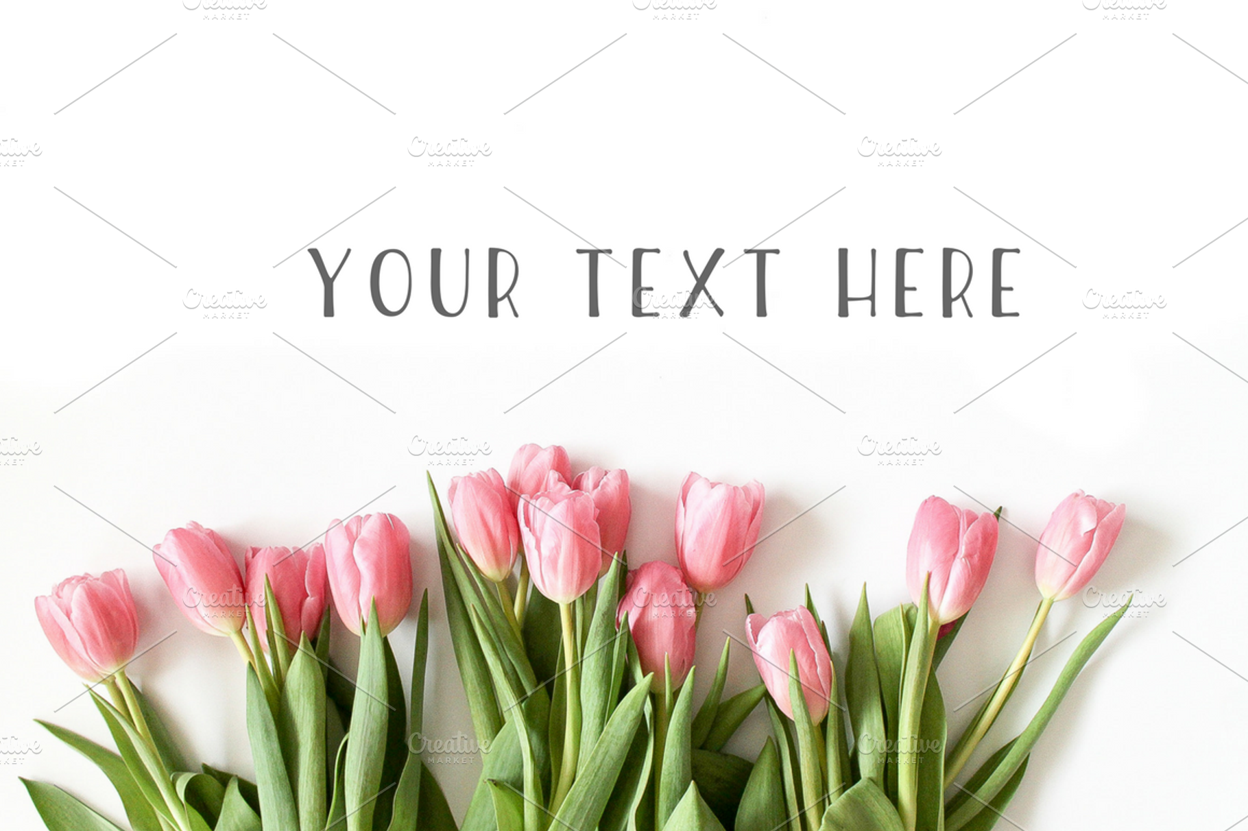Pink Tulip Floral Stock Photo, a Background Photo by Graceful Market