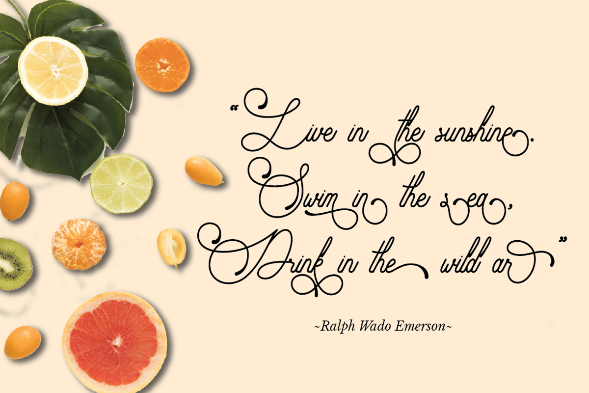 Audrena - Beautiful Monoline Font, a Script Font by PutraCetol Studio (Photo 5 of 11)