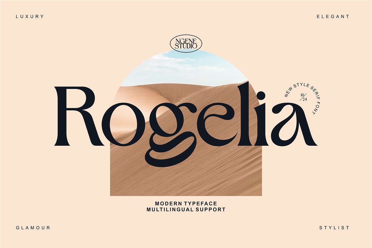 Rogelia Modern Serif, a Serif Font by ngene (Photo 1 of 11)