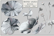 Fresco collection WATER LILIES, a Wallpaper Graphic by Natalia0307 (Thumbnail 4 of 18)