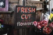 Nora Art, a Sans Serif Font by vve.design (Thumbnail 9 of 11)