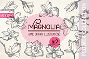 Magnolia in engraving style. Part 2, a Decorative Illustration by Alena Kaz (Thumbnail 1 of 5)