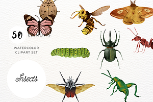 Watercolor Insects Clipart Set