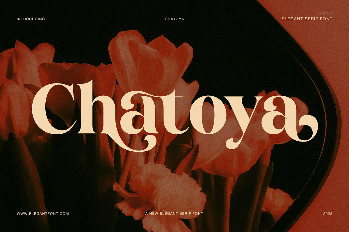 Chatoya Elegant Serif Display Font, a Serif Font by Elegant Font (Photo 1 of 8)