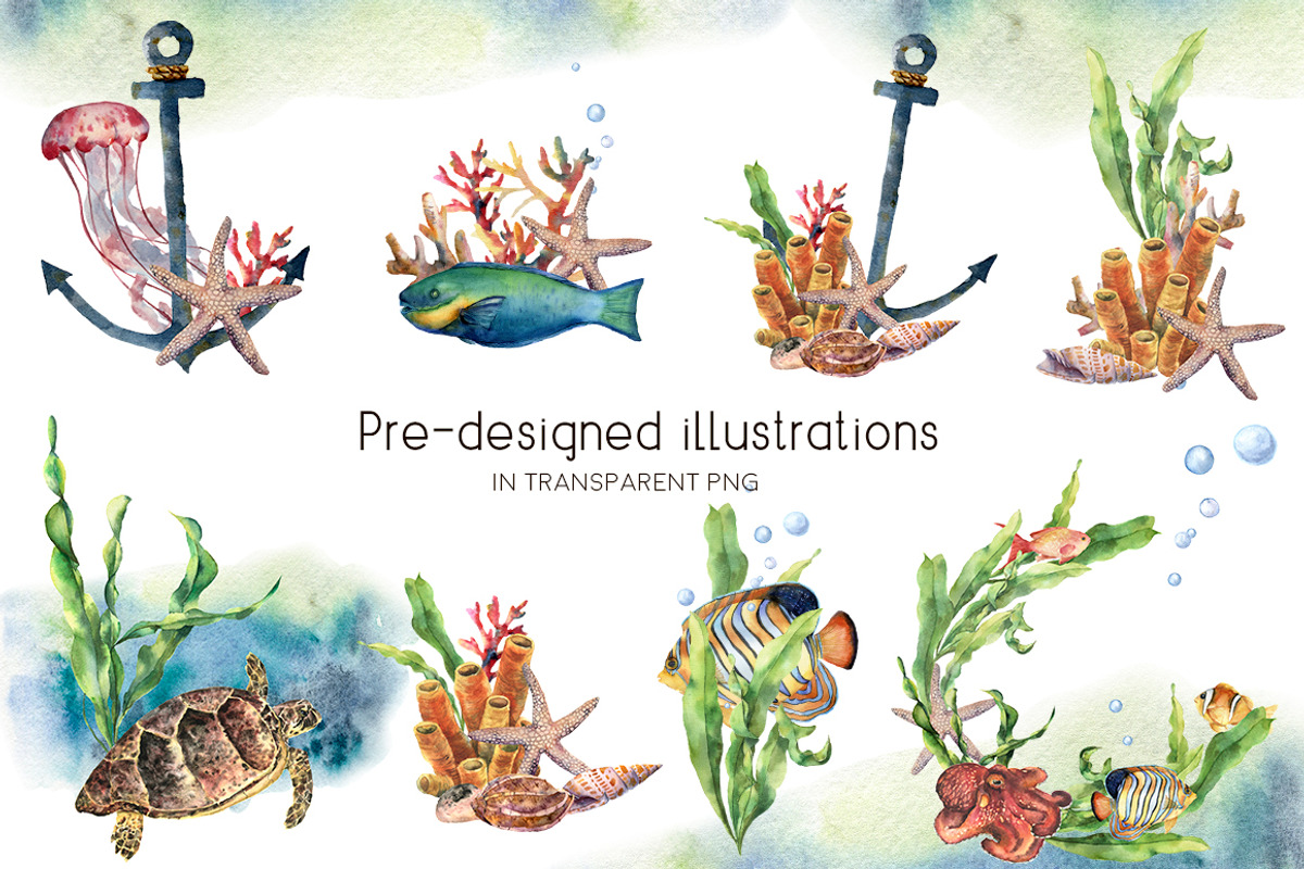 Underwater ocean watercolor clipart, an Animal Illustration by Yuliya Derbisheva (Photo 5 of 10)