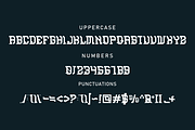 Deblles font, a Serif Font by VectorCraft (Thumbnail 2 of 4)