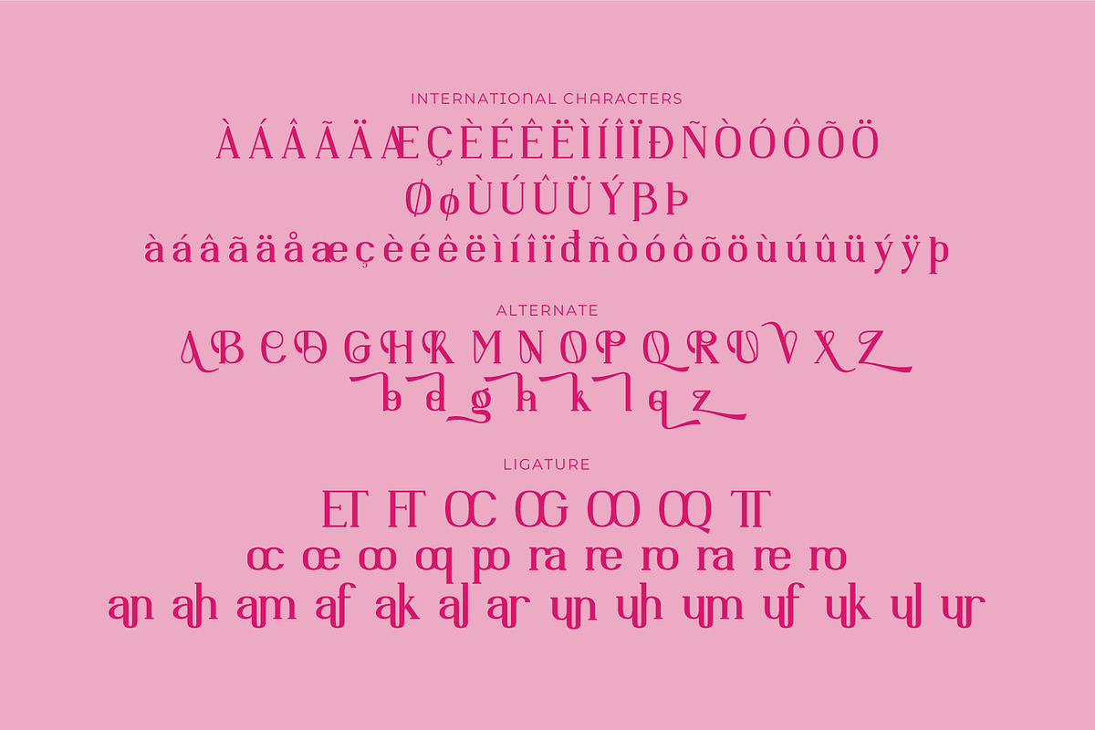 Arezandra, a Serif Font by Rishsketch (Photo 14 of 15)