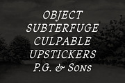 Sandleford Italic, a Serif Font by Simon Walker (Thumbnail 5 of 9)