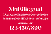 Roman Avenue, a Serif Font by zaaintype (Thumbnail 14 of 14)