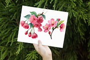 Cherry Blossom Watercolor Clip Art, an Illustration by Libby Wishes (Thumbnail 5 of 7)