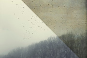 20 fineart Canvas Textures, a Texture Graphic by dyrkwyst textures (Thumbnail 4 of 4)