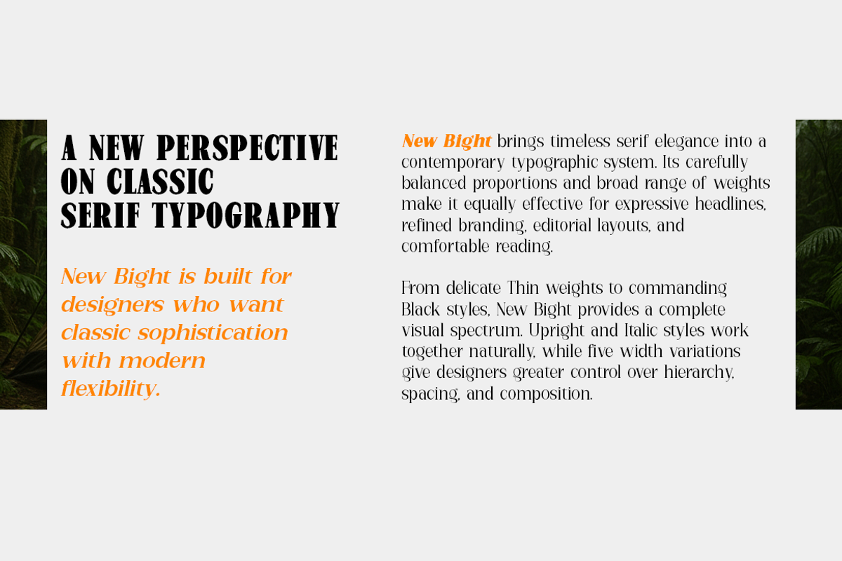 New Bight-Serif Font, a Serif Font by artisans (Photo 2 of 6)
