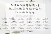 Bunnyheart, a Script Font by Letterafa Studio (Thumbnail 8 of 10)